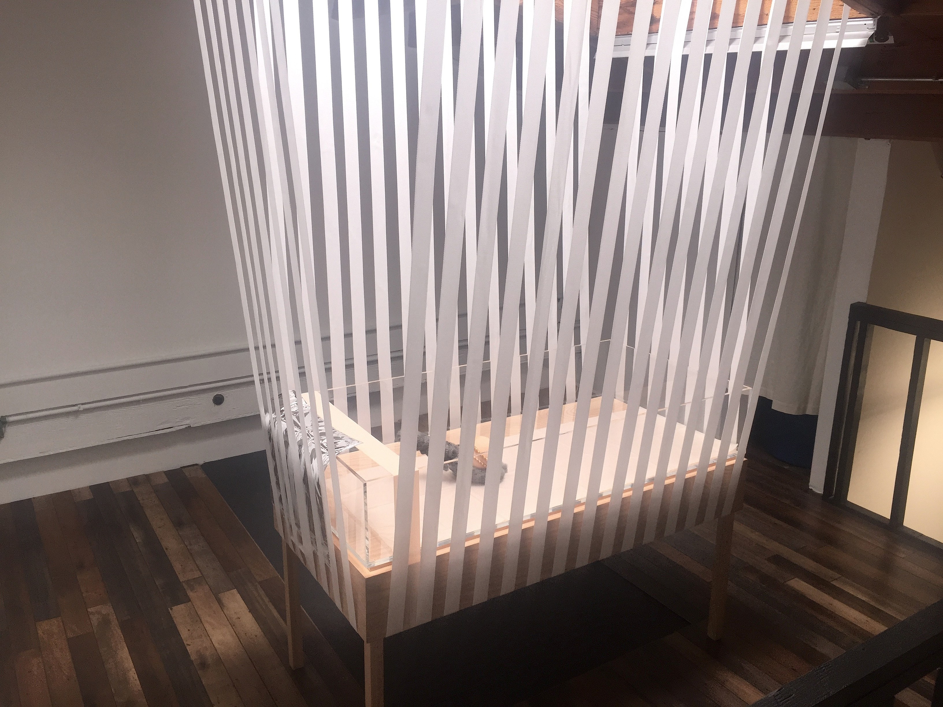 Alisa Baremboym, Untitled (Vitrine) at Joan, photo 5