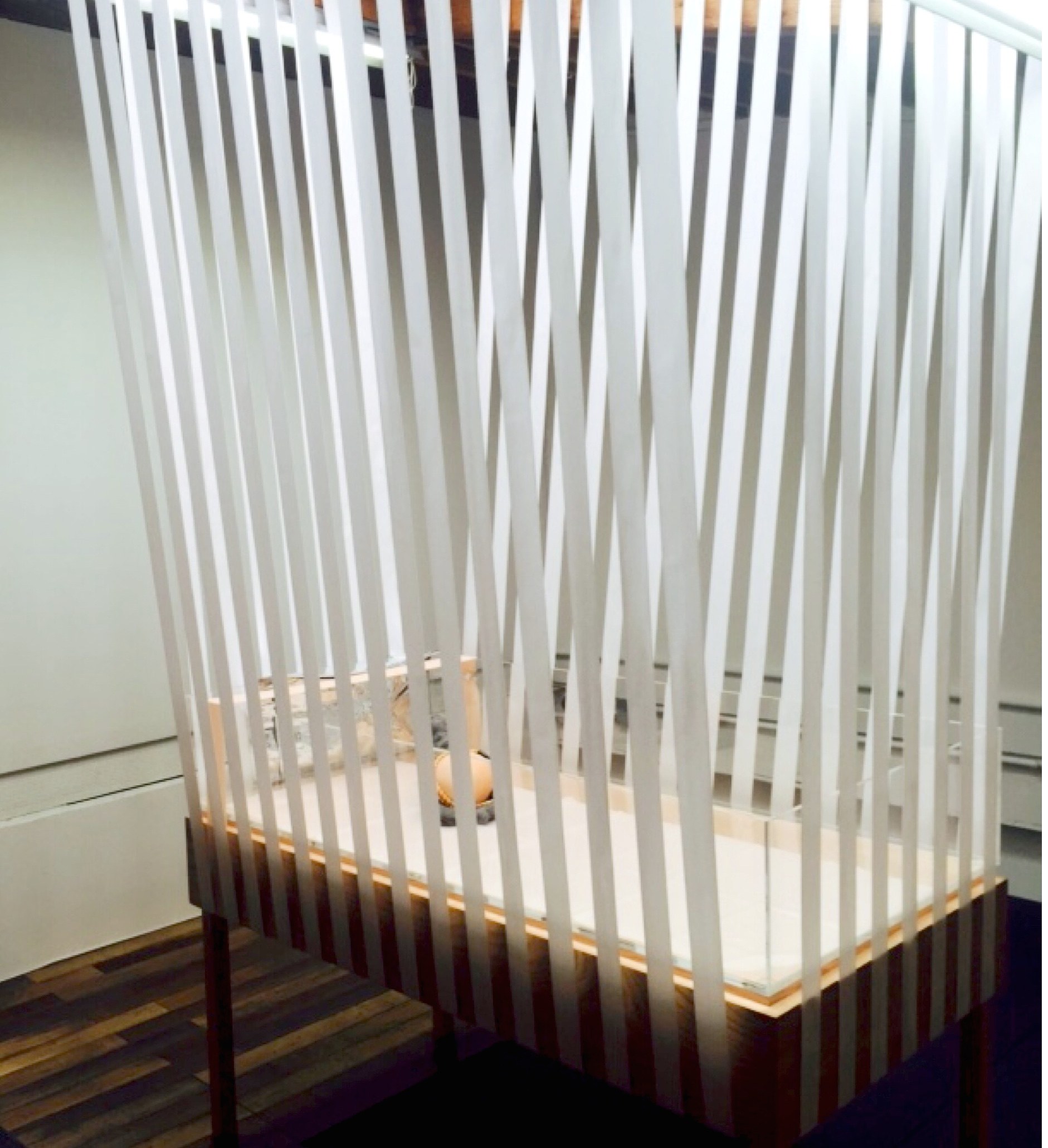 Alisa Baremboym, Untitled (Vitrine) at Joan, photo 7