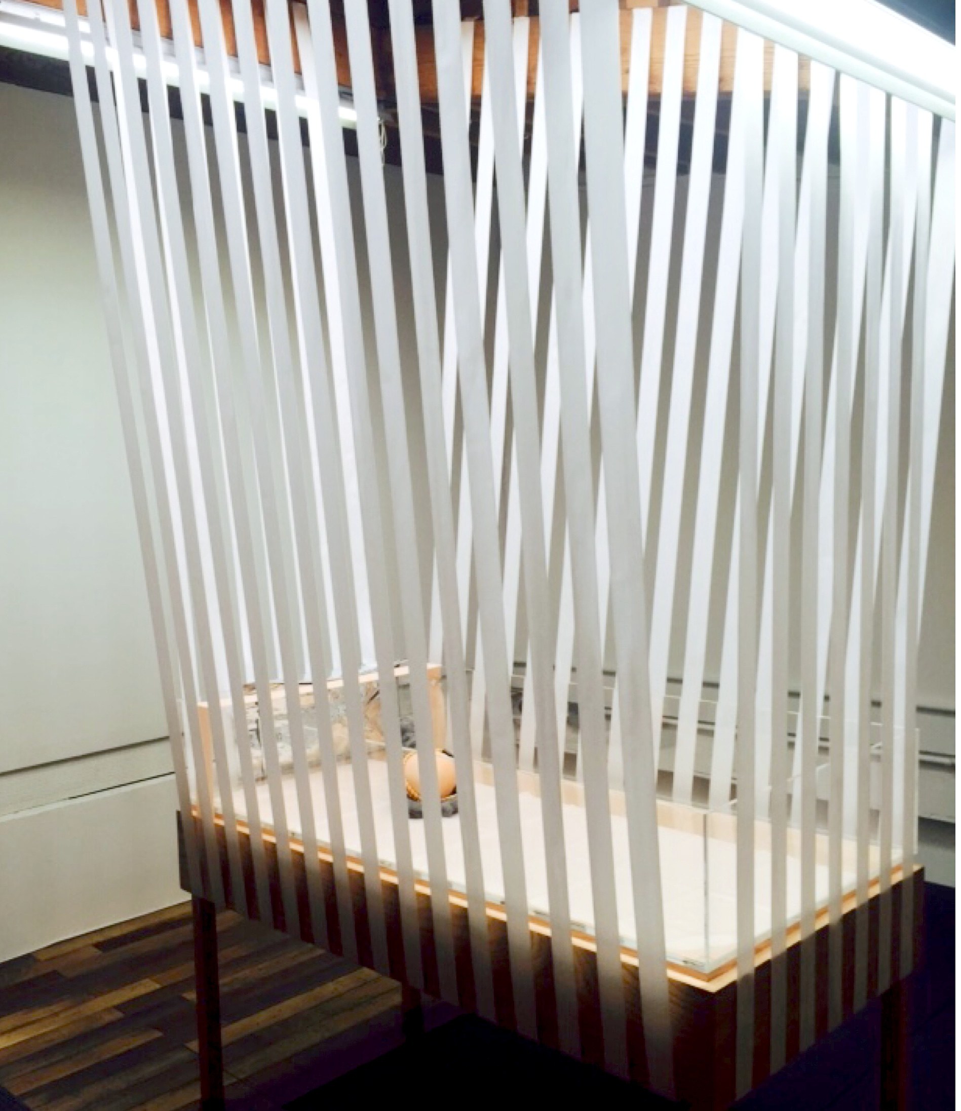 Alisa Baremboym, Untitled (Vitrine) at Joan, photo 10
