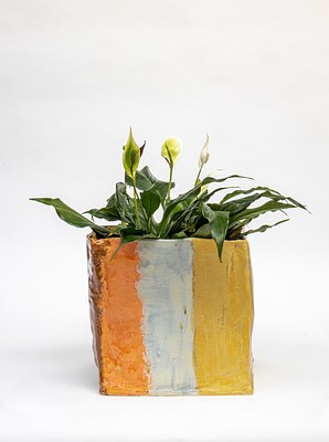 Image 37 of 89