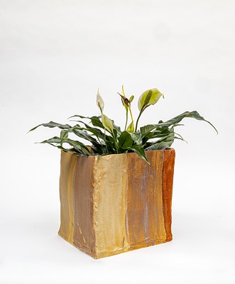 Image 39 of 89