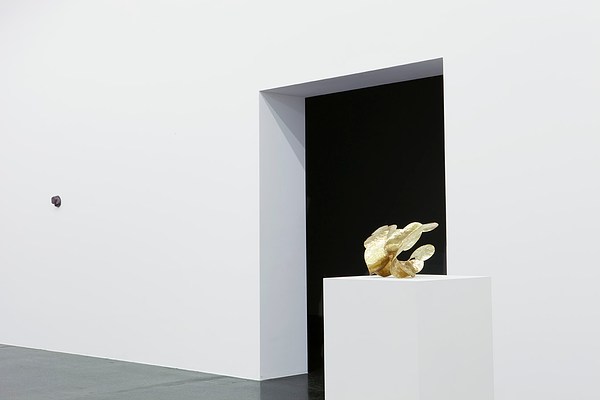 Image 2 of 12
