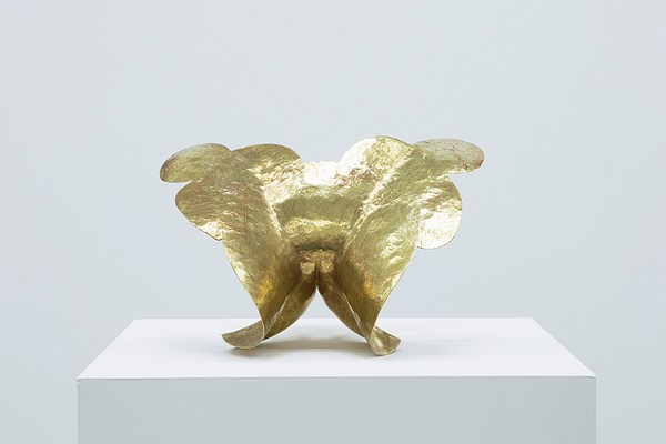 Image 4 of 12