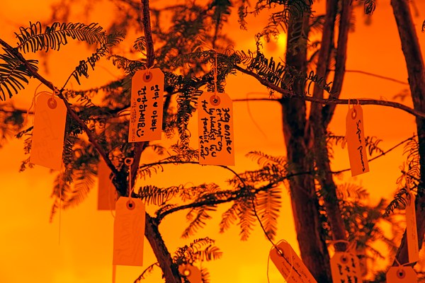 Image 7 of 9