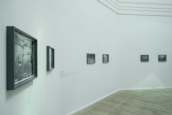 Image 17 of 17