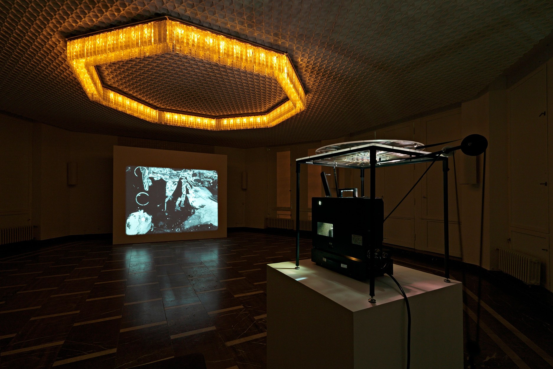 Paul Sietsema, Anticultural Positions at Schinkel Pavillon, photo 6