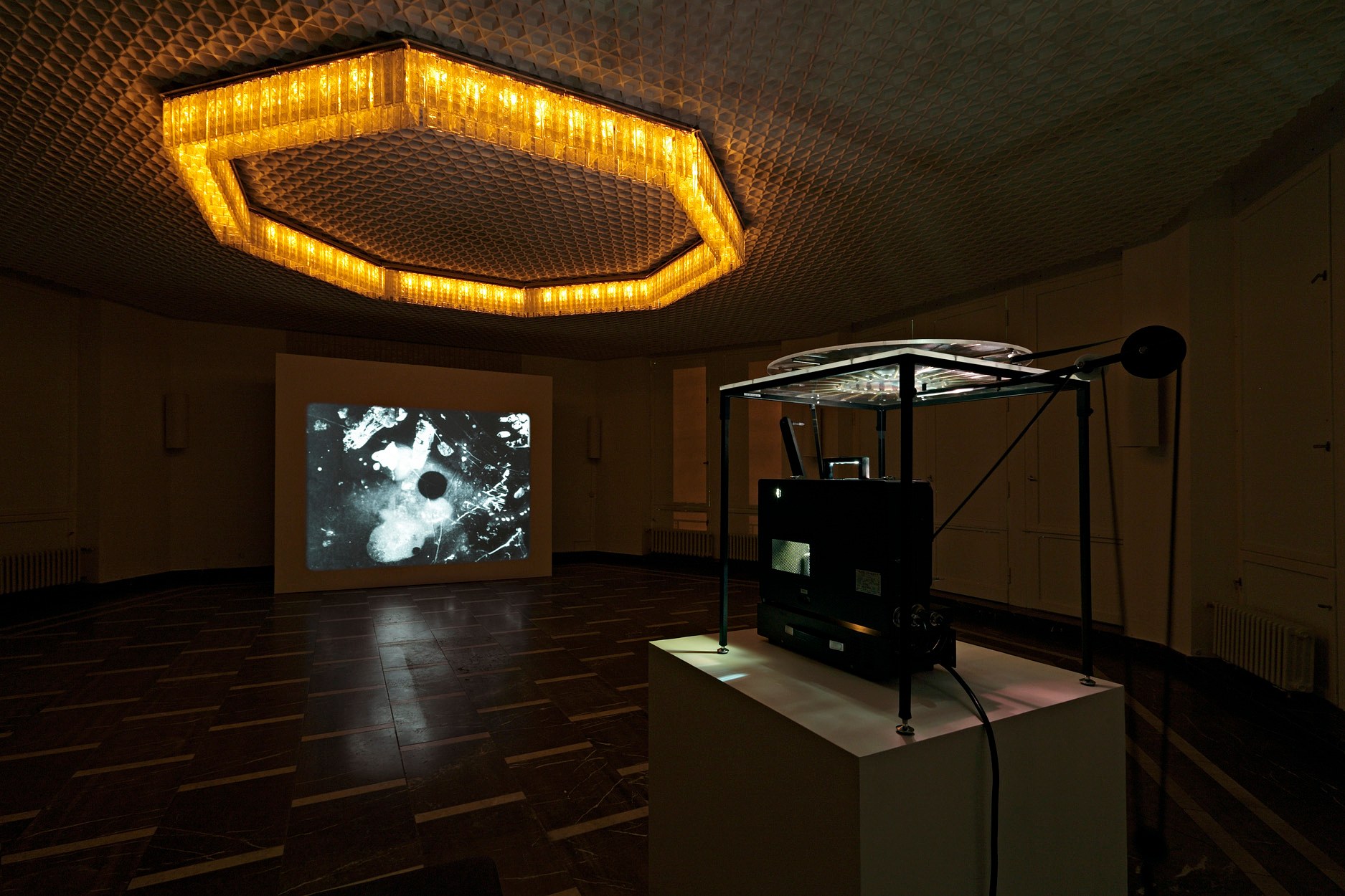 Paul Sietsema, Anticultural Positions at Schinkel Pavillon, photo 4