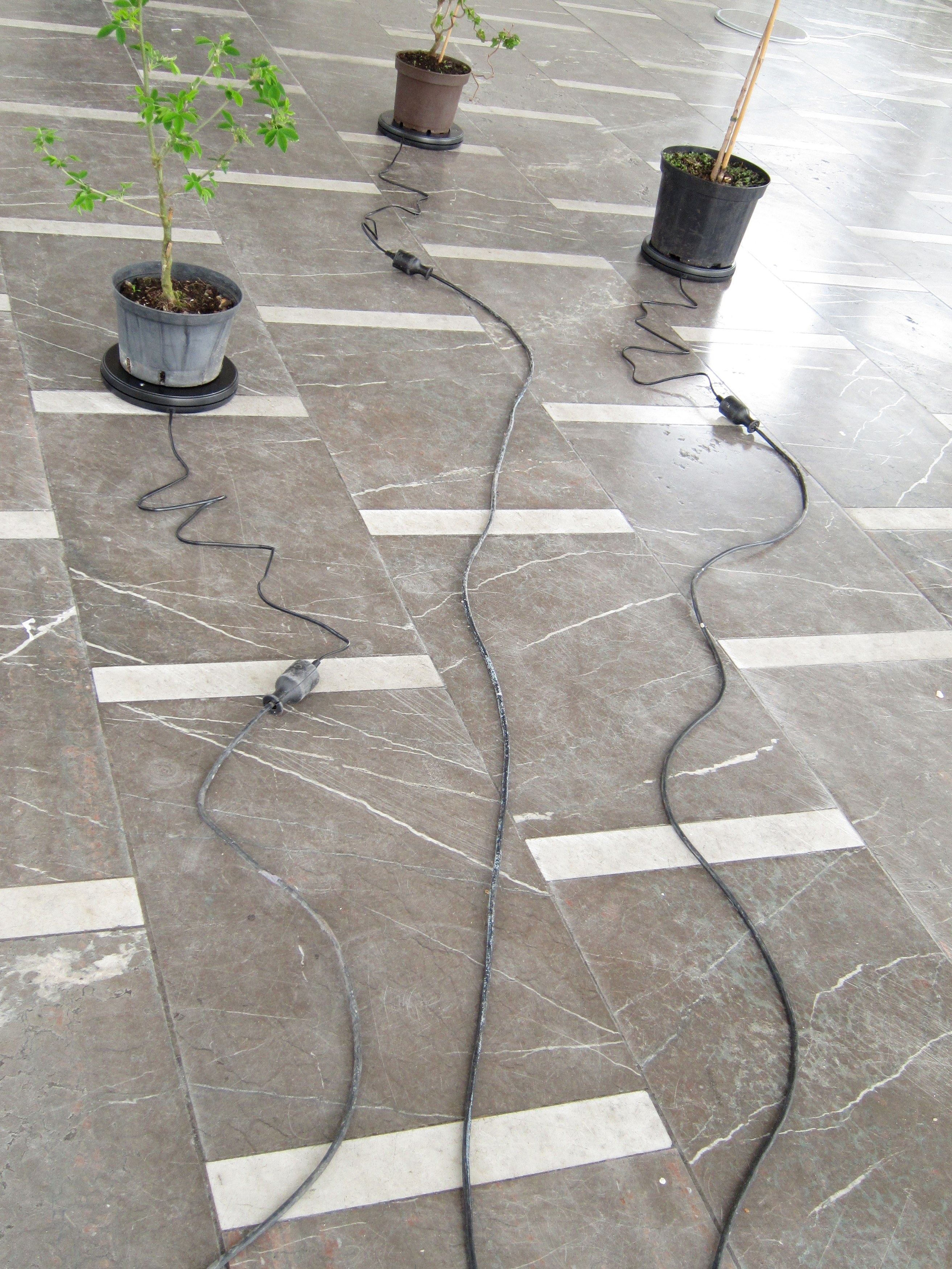 Cerith Wyn Evans, Détourne at Schinkel Pavillon, photo 10