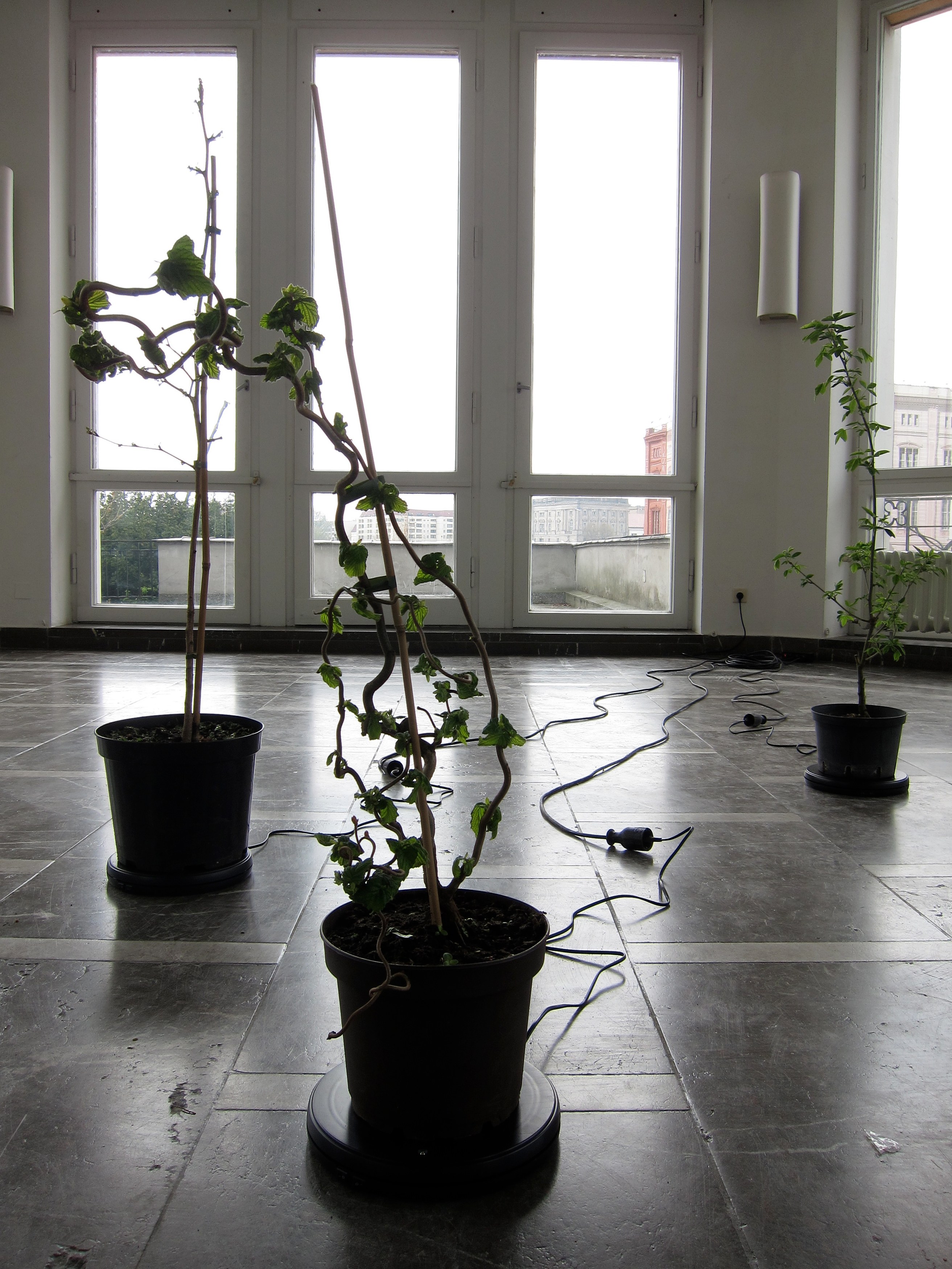Cerith Wyn Evans, Détourne at Schinkel Pavillon, photo 7
