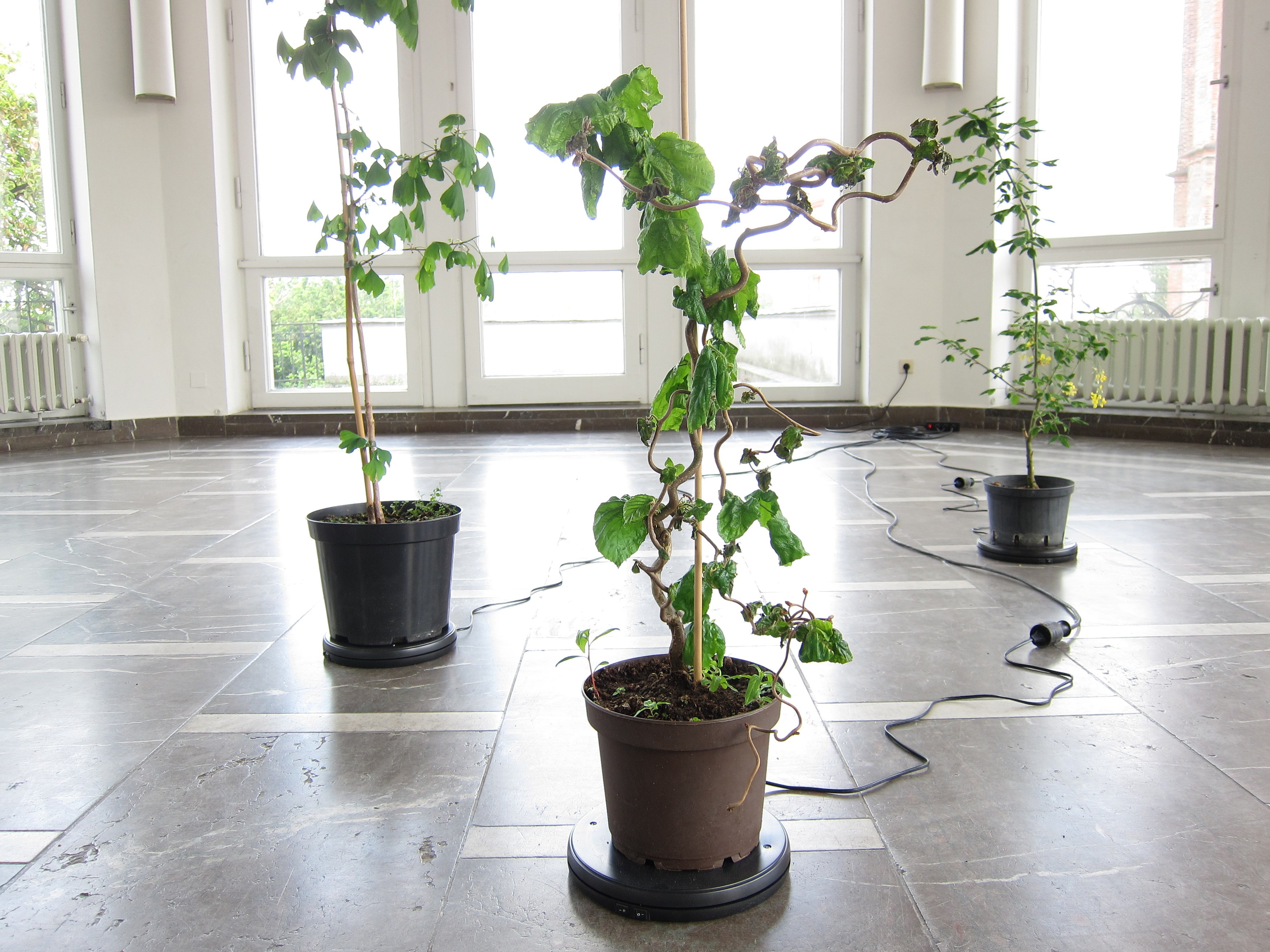 Cerith Wyn Evans, Détourne at Schinkel Pavillon, photo 8