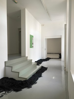 Image 6 of 11