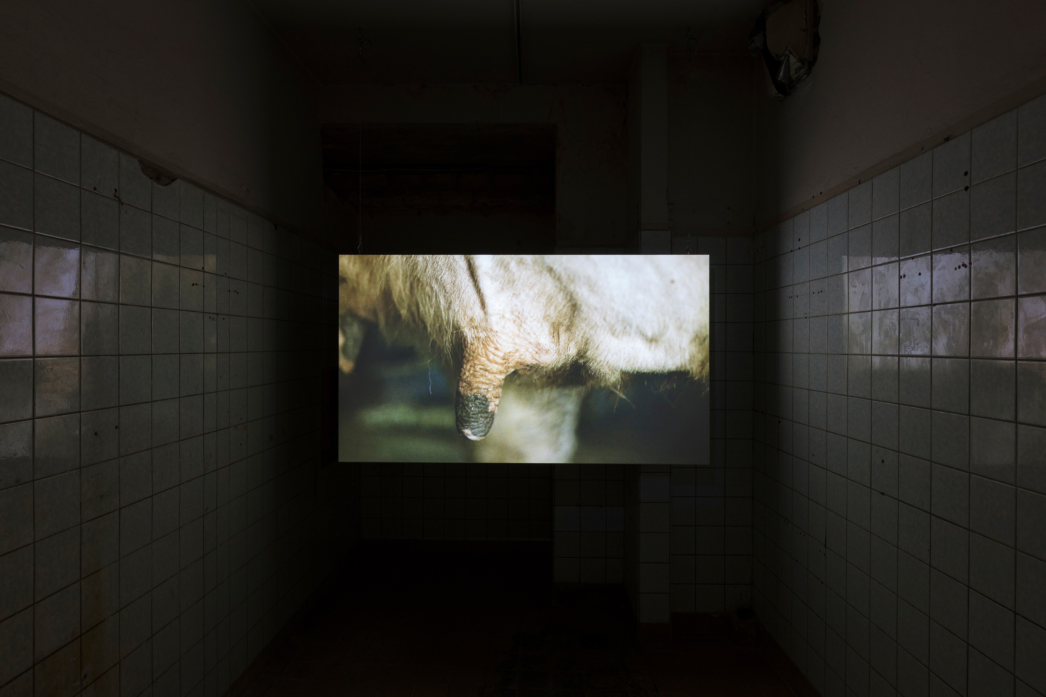 Straying from the Line, Straying from the Line at Schinkel Pavillon, photo 39