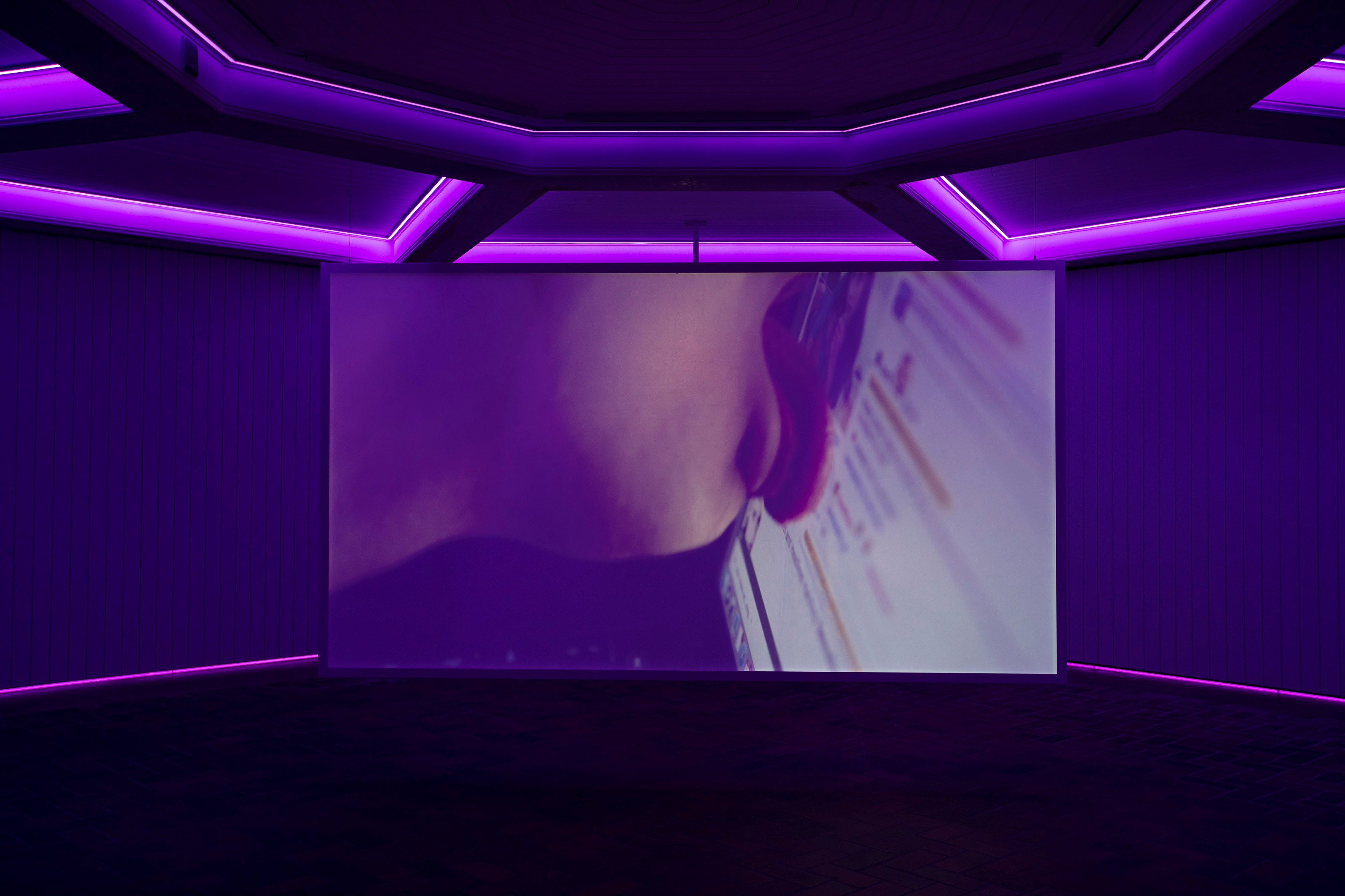 Mohamed Bourouissa, Link at Schinkel Pavillon, photo 7