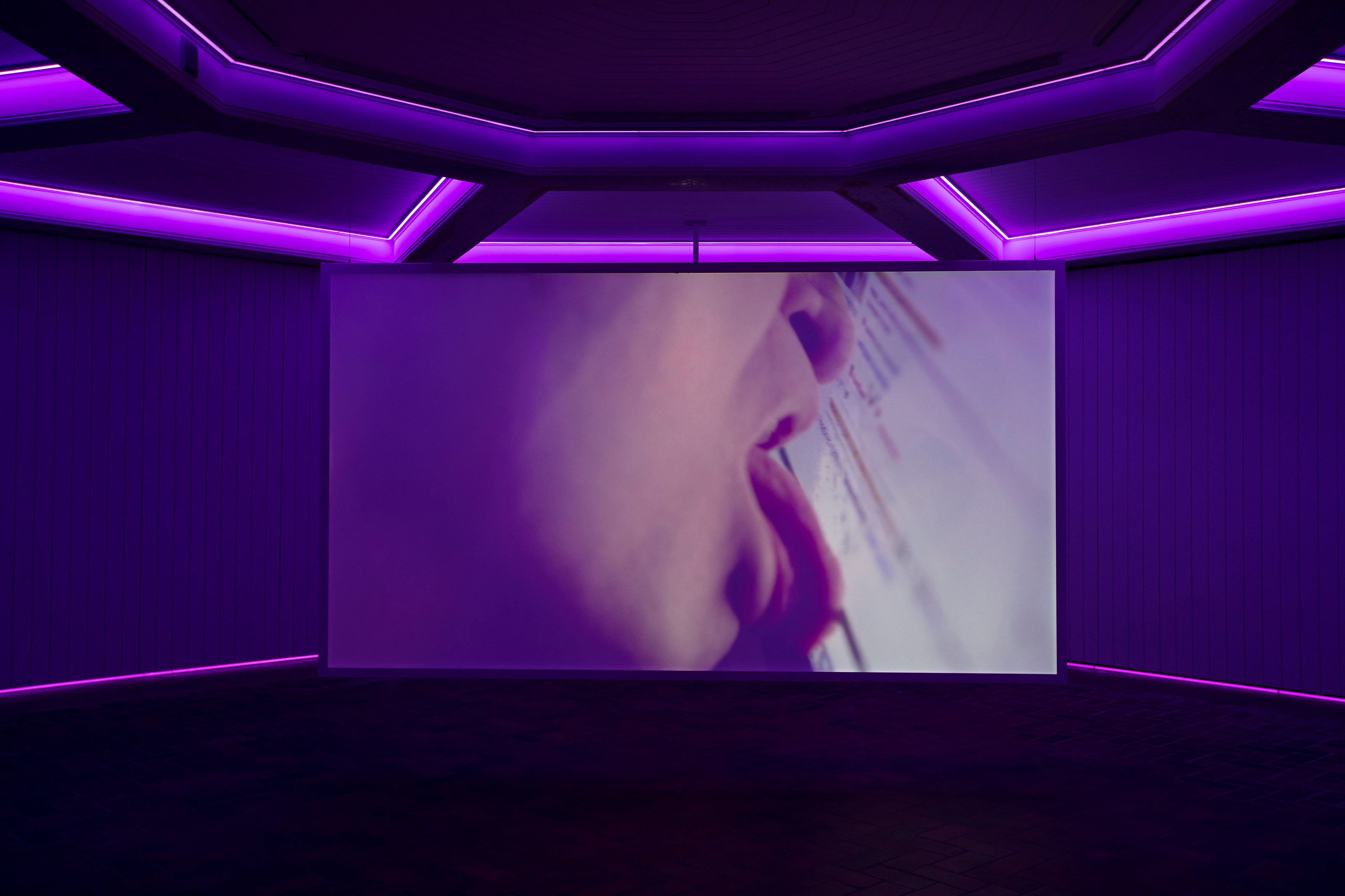 Mohamed Bourouissa, Link at Schinkel Pavillon, photo 6