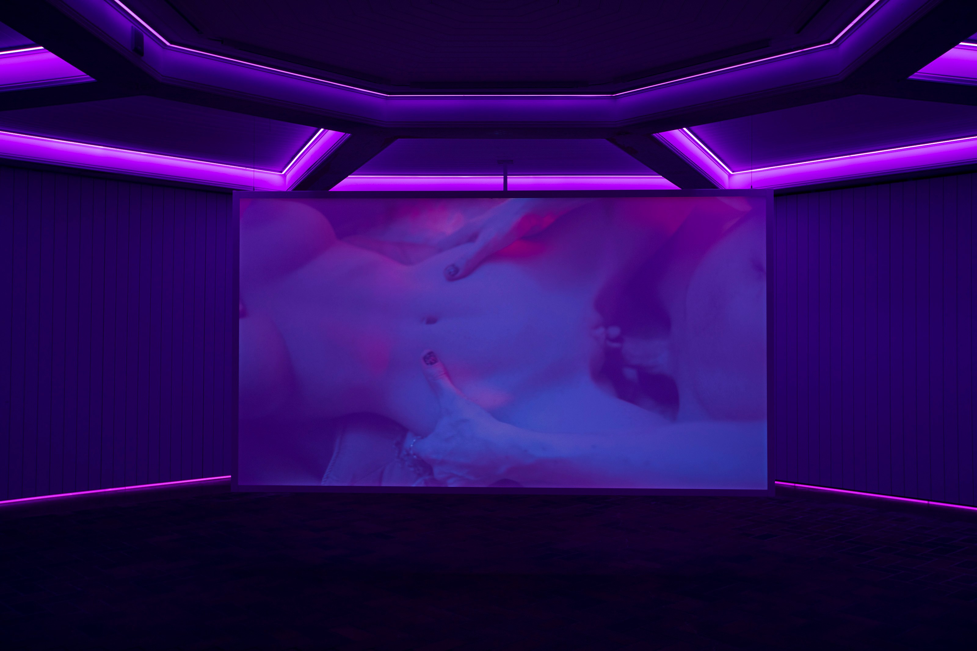 Mohamed Bourouissa, Link at Schinkel Pavillon, photo 8
