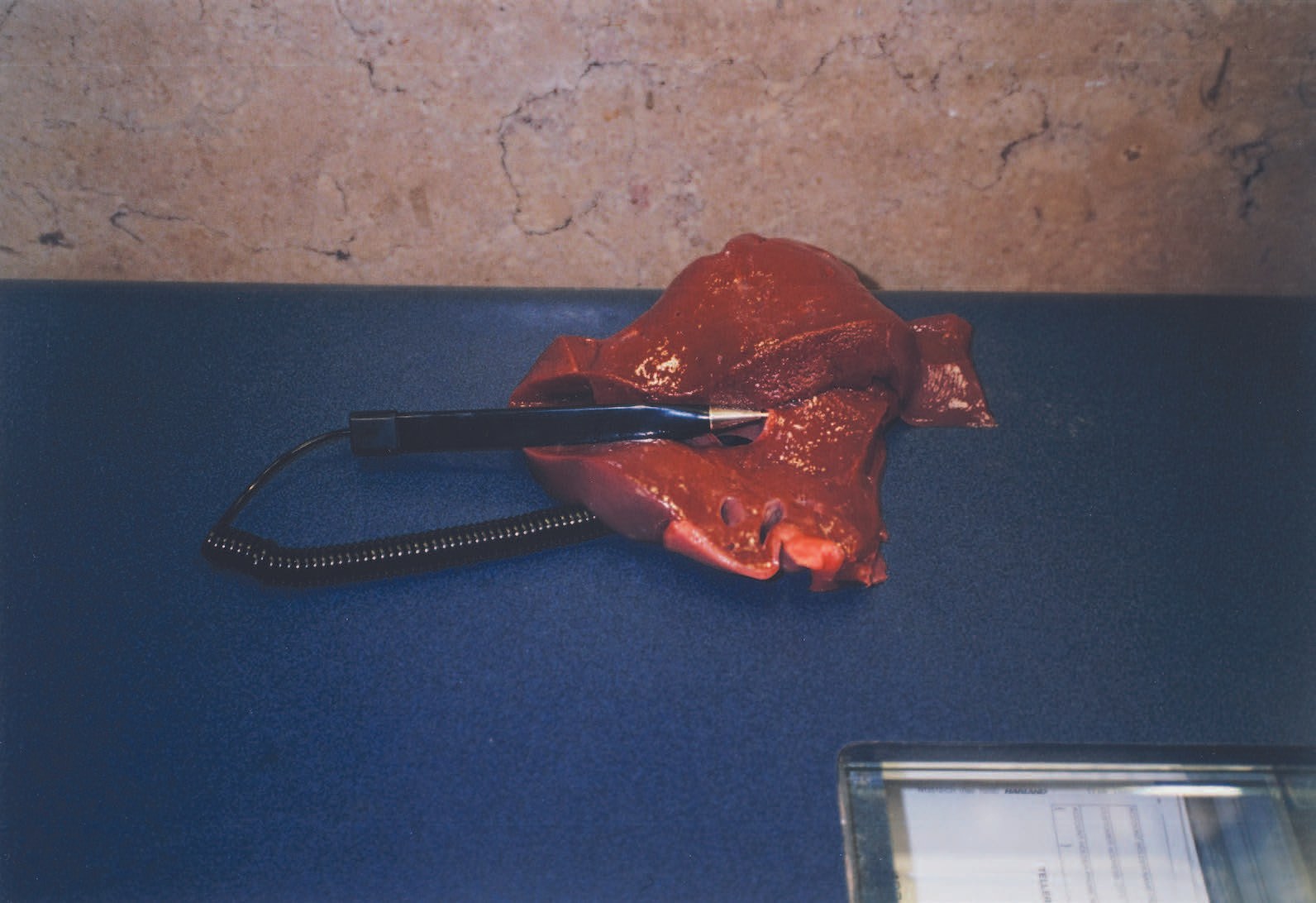 Encore, Encore at Miguel Abreu, New York (88 Eldridge Street, 36 Orchard Street), photo 21