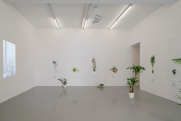 Image 2 of 9