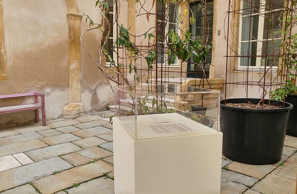 Image 9 of 9