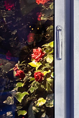 Image 7 of 18