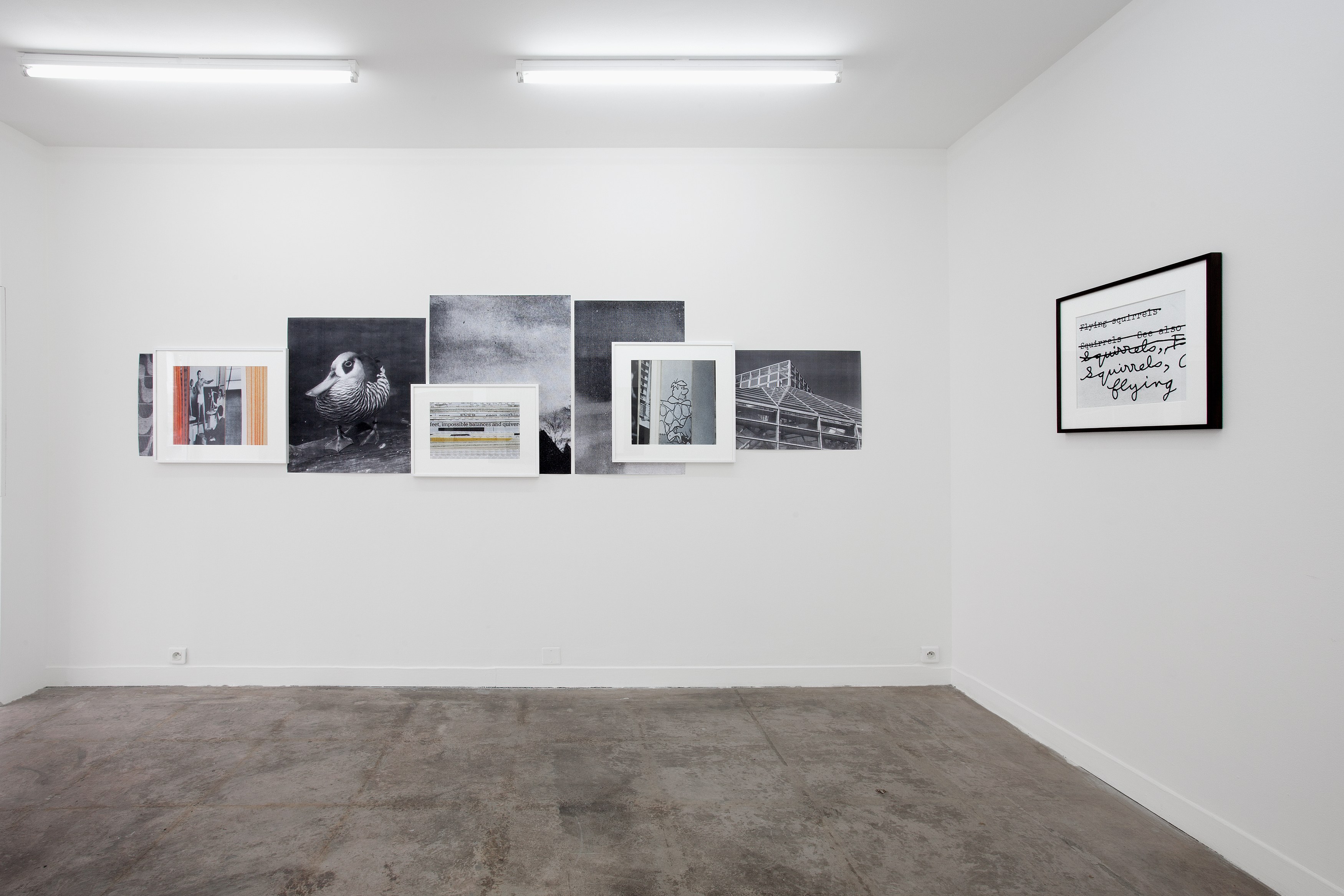 Erica Baum, The Public Imagination at Tragic Venus, CELESTE | data center Marilyn, Champs-sur-Marne, photo 2