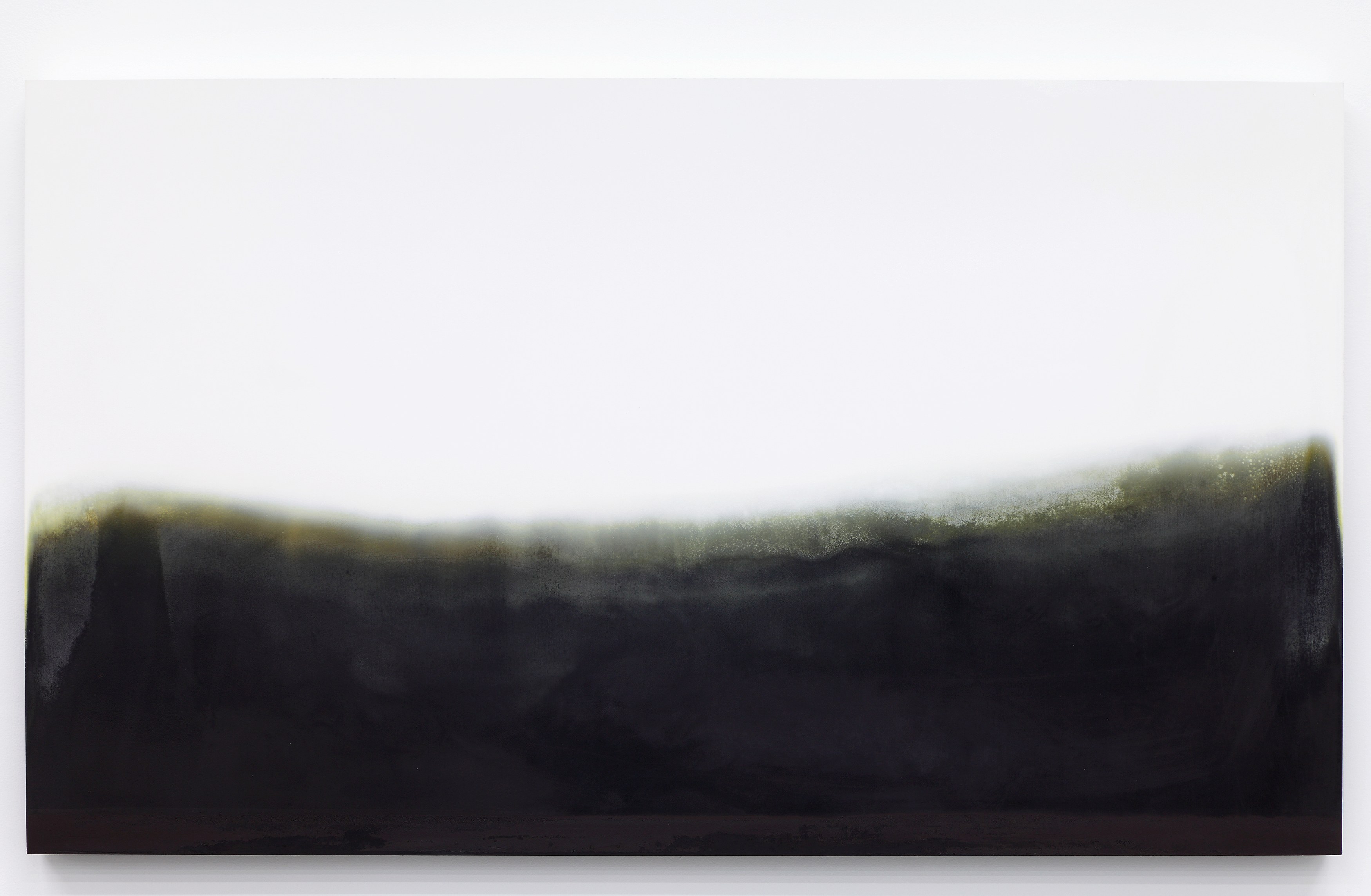 Michel François, Pieces of Evidence at Bortolami, photo 14