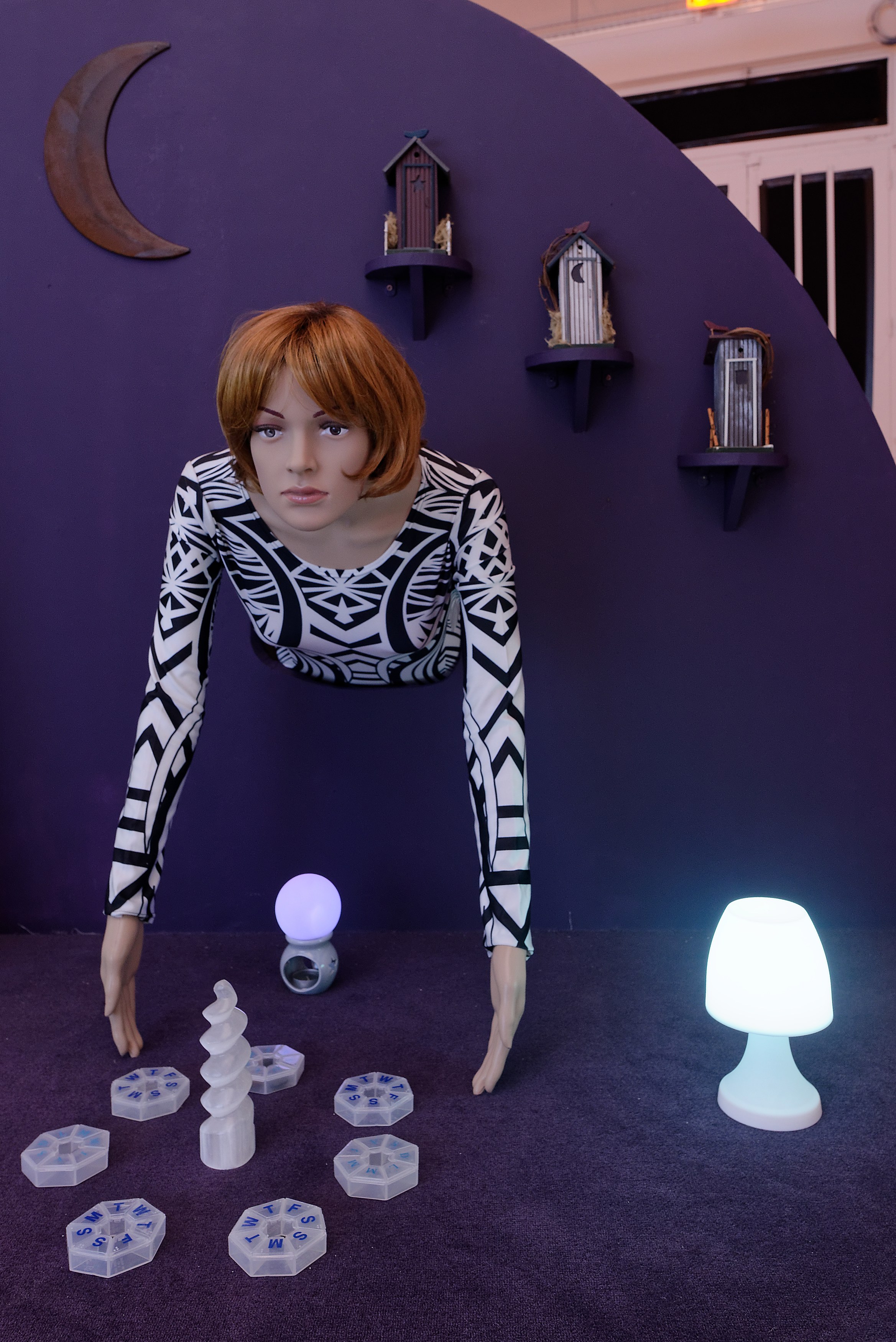 Shana Moulton, Mood Swings at Tragic Venus, CELESTE | data center Marilyn, Champs-sur-Marne, photo 36