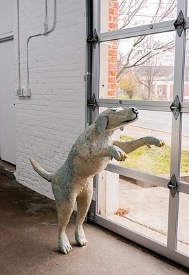 Image 8 of 25