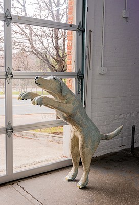 Image 7 of 25