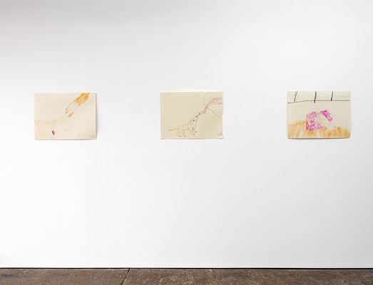 3 of 6 drawings hanging in a single line next to each other. Each drawing is 17 and a half inches tall, and 23 inches wide. The artist uses a ball point pen to draw indented outlines into the paper, and colors them with waxy crayons. If you look at the drawings closely, or if you were to touch them, you could perceive that the lines are slightly raised from the surface of the paper. From left to right is “Arm, Tail, Butthole”. A hand comes out from the right corner of the drawing, and holds up the tail of a yellow Lab, playfully exposing its butthole. The second drawing is “London Licking Foot on Hairy Leg”. Coming out from the top right corner is a very hairy leg with a large thigh and a skinny ankle dangling its foot off from the edge of the bed. Coming out from the bottom left side of the drawing, London stands with her pink tongue reaching out to lick the foot that hangs in mid-air. In the third drawing, “London Mounting the Couch”, London is seen from behind, her hind legs are on the floor, as her front paws are about to lift herself up onto a pink floral couch.