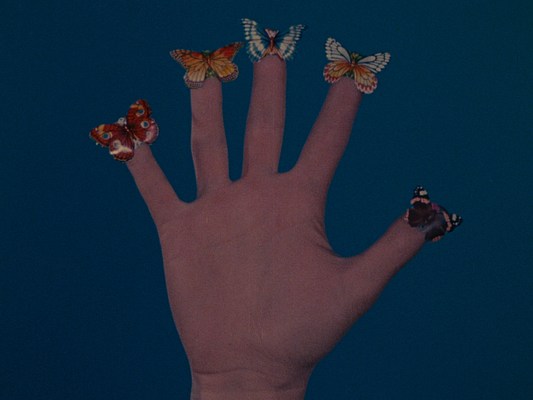Image 8 of 28