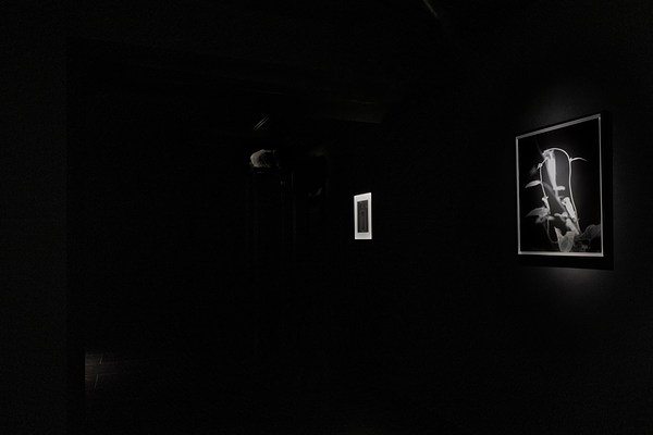Image 4 of 51