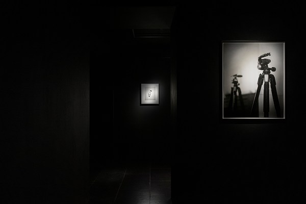 Image 3 of 51