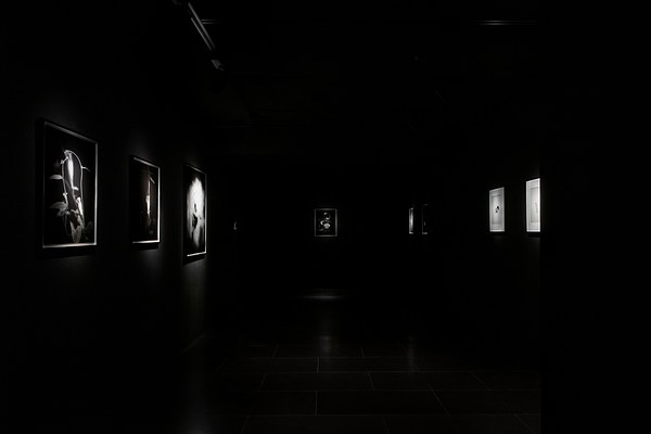 Image 11 of 51