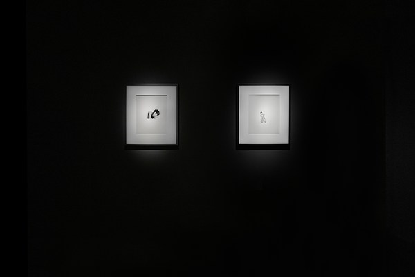 Image 9 of 51