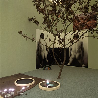 Image 7 of 13