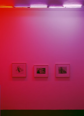 Image 1 of 15