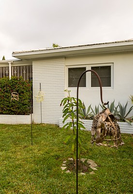 Image 8 of 35
