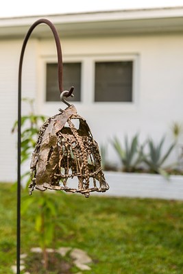Image 19 of 35
