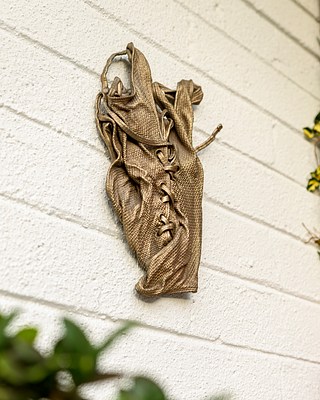 Image 22 of 35