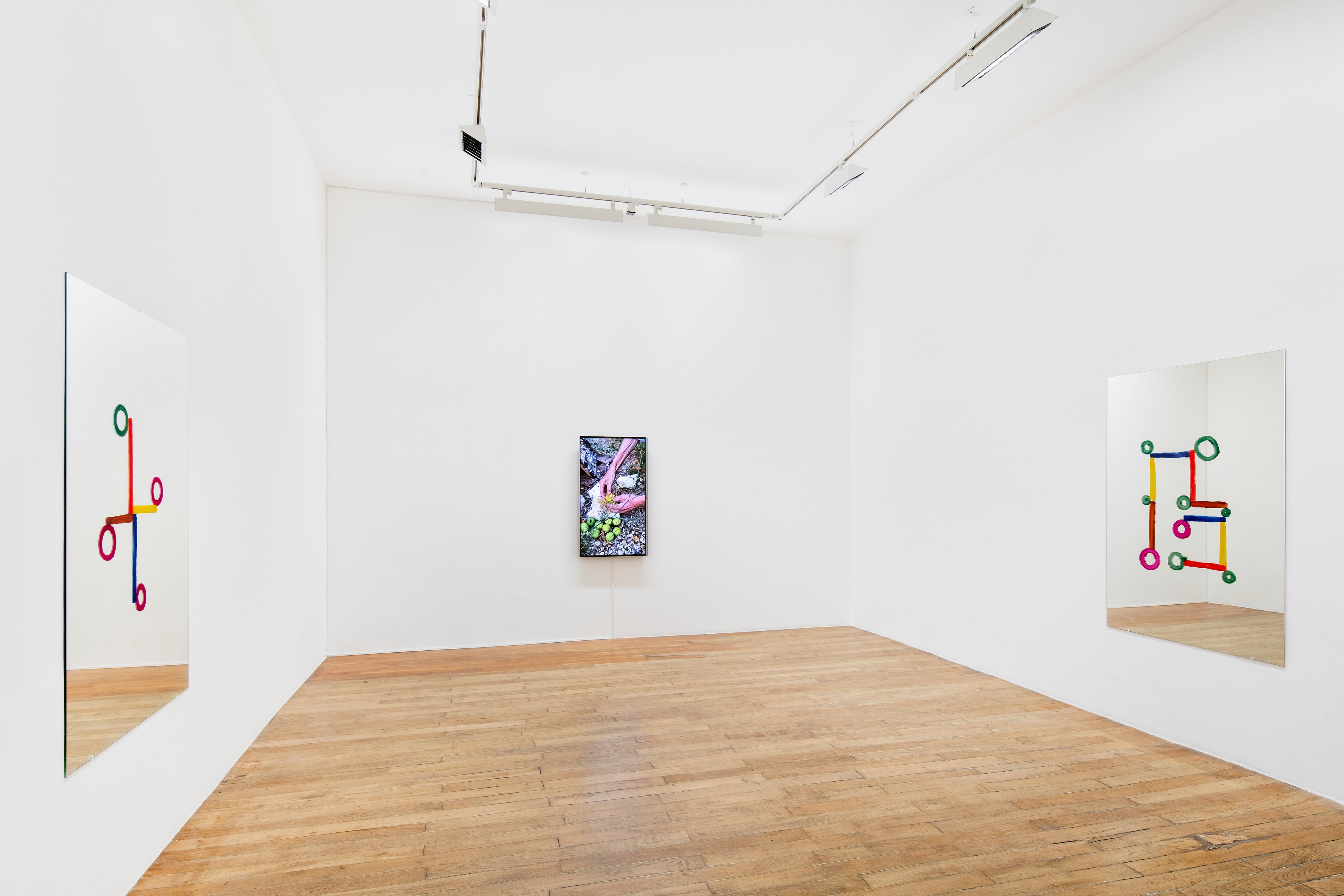 Abraham Cruzvillegas, La Señora de Las Nueces at Galerie Chantal Crousel, photo 4