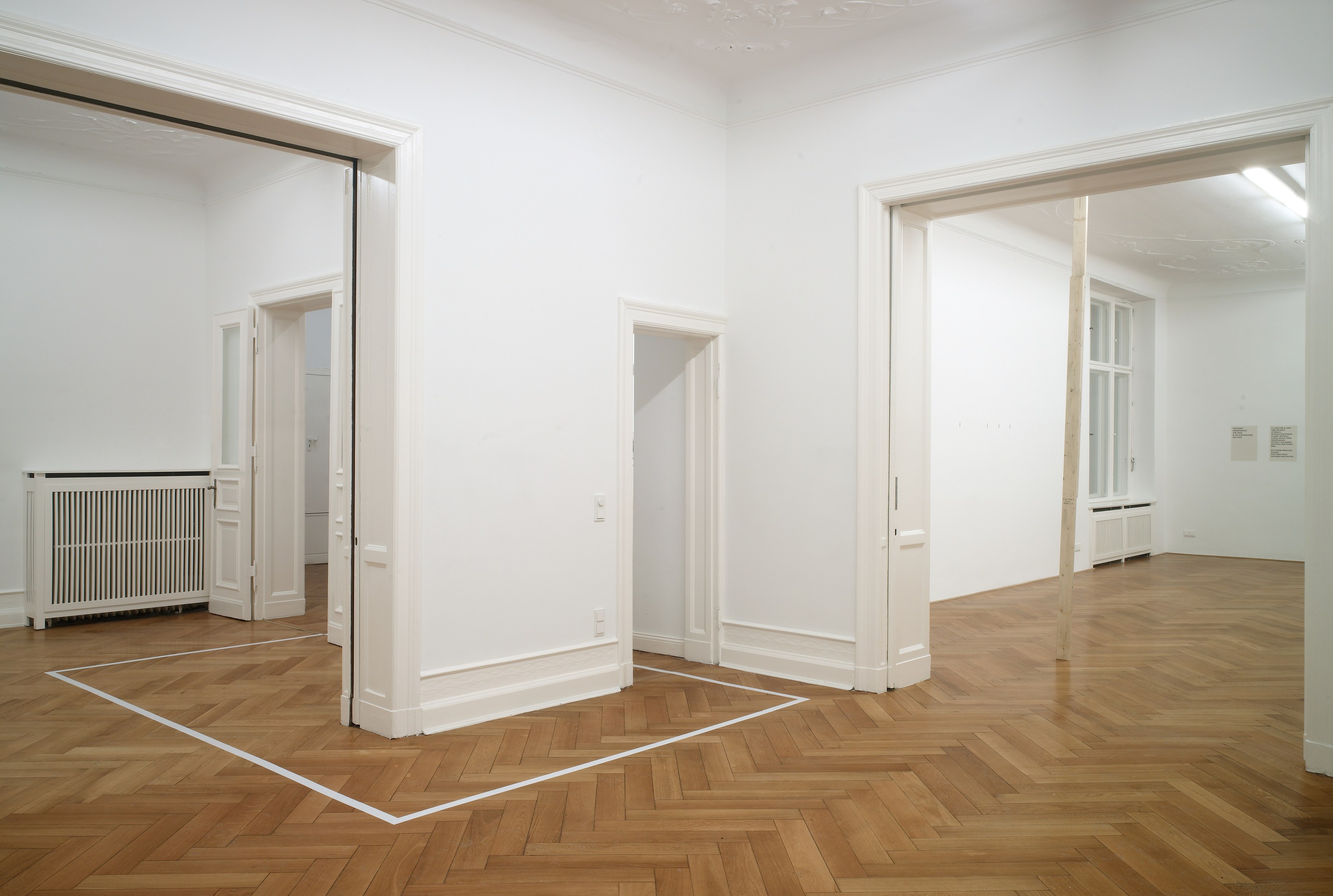 Henrik Olesen, How do I make myself a body? at Galerie Buchholz, Berlin, photo 7