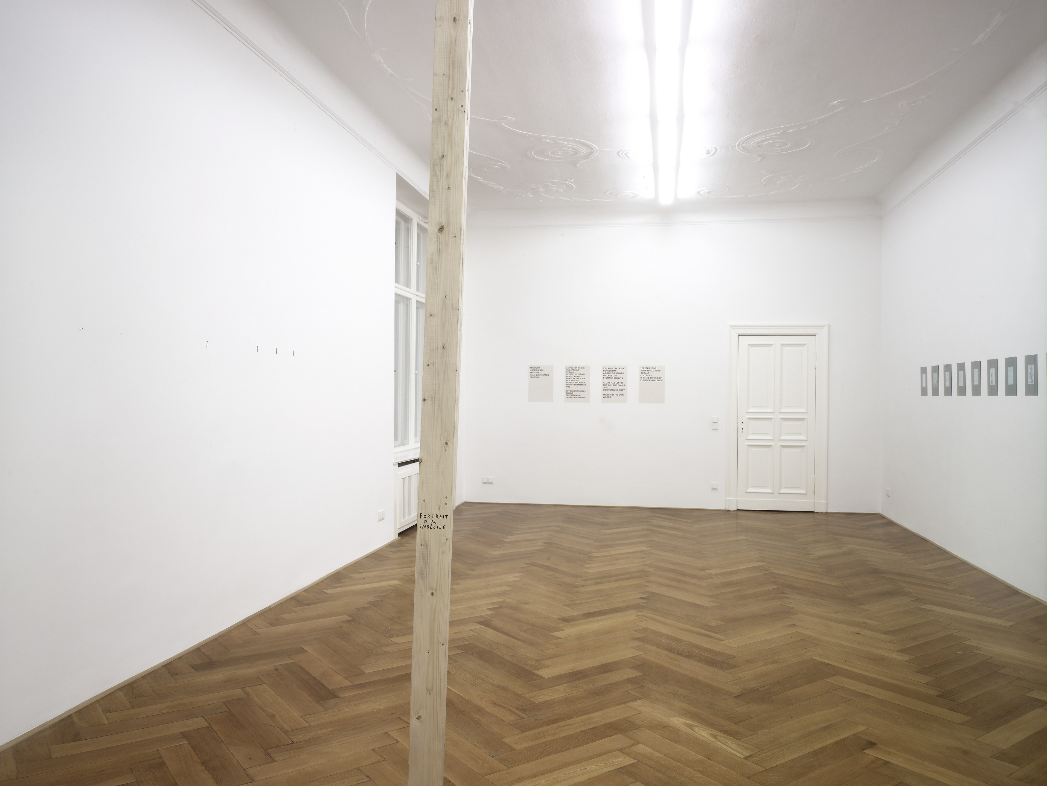Henrik Olesen, How do I make myself a body? at Galerie Buchholz, Berlin, photo 14
