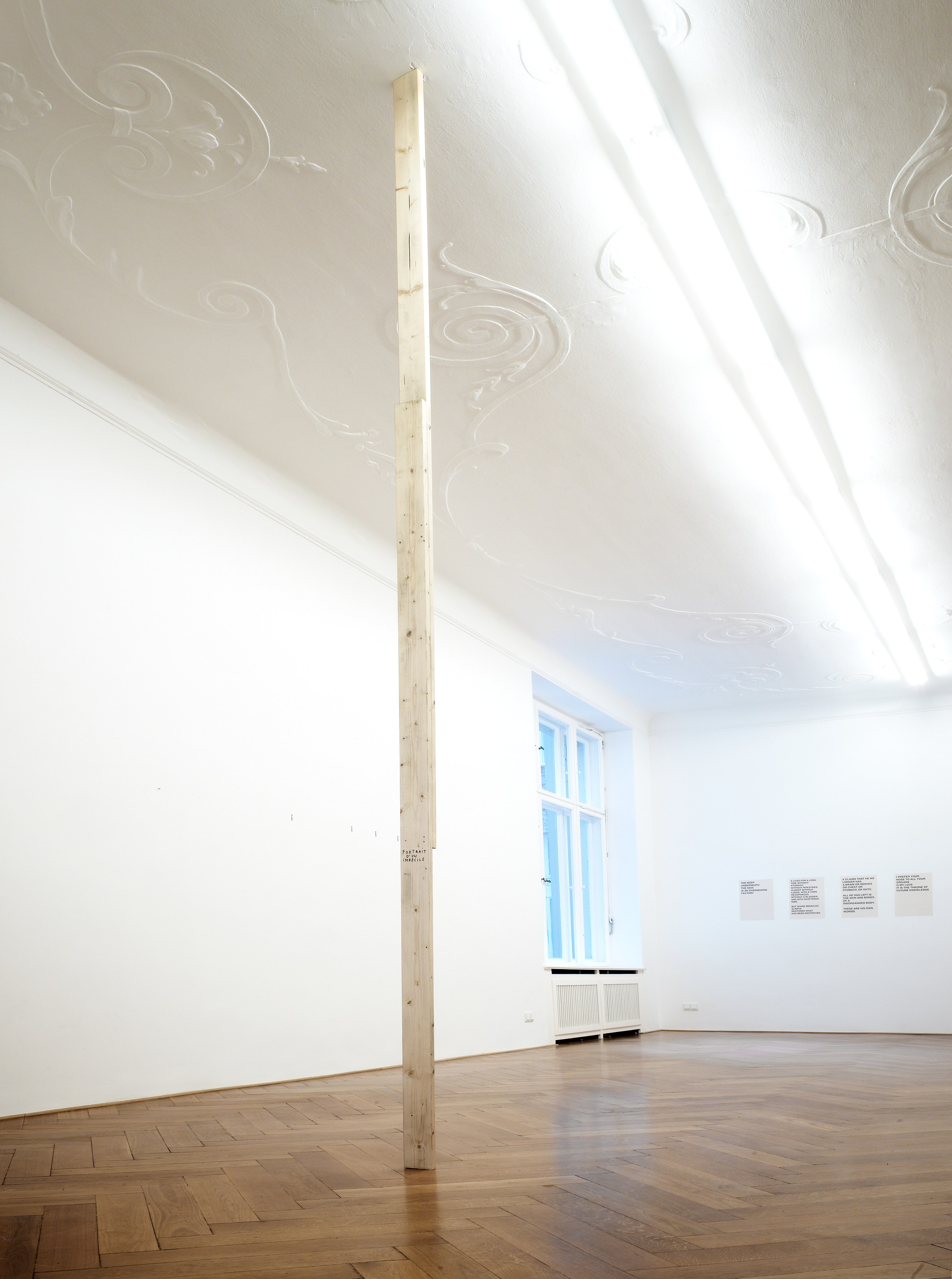 Henrik Olesen, How do I make myself a body? at Galerie Buchholz, Berlin, photo 15