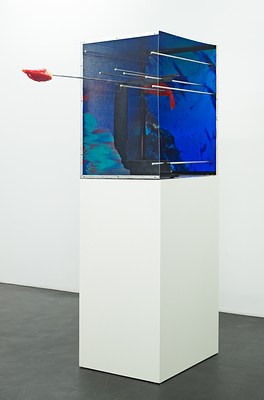 Image 11 of 14