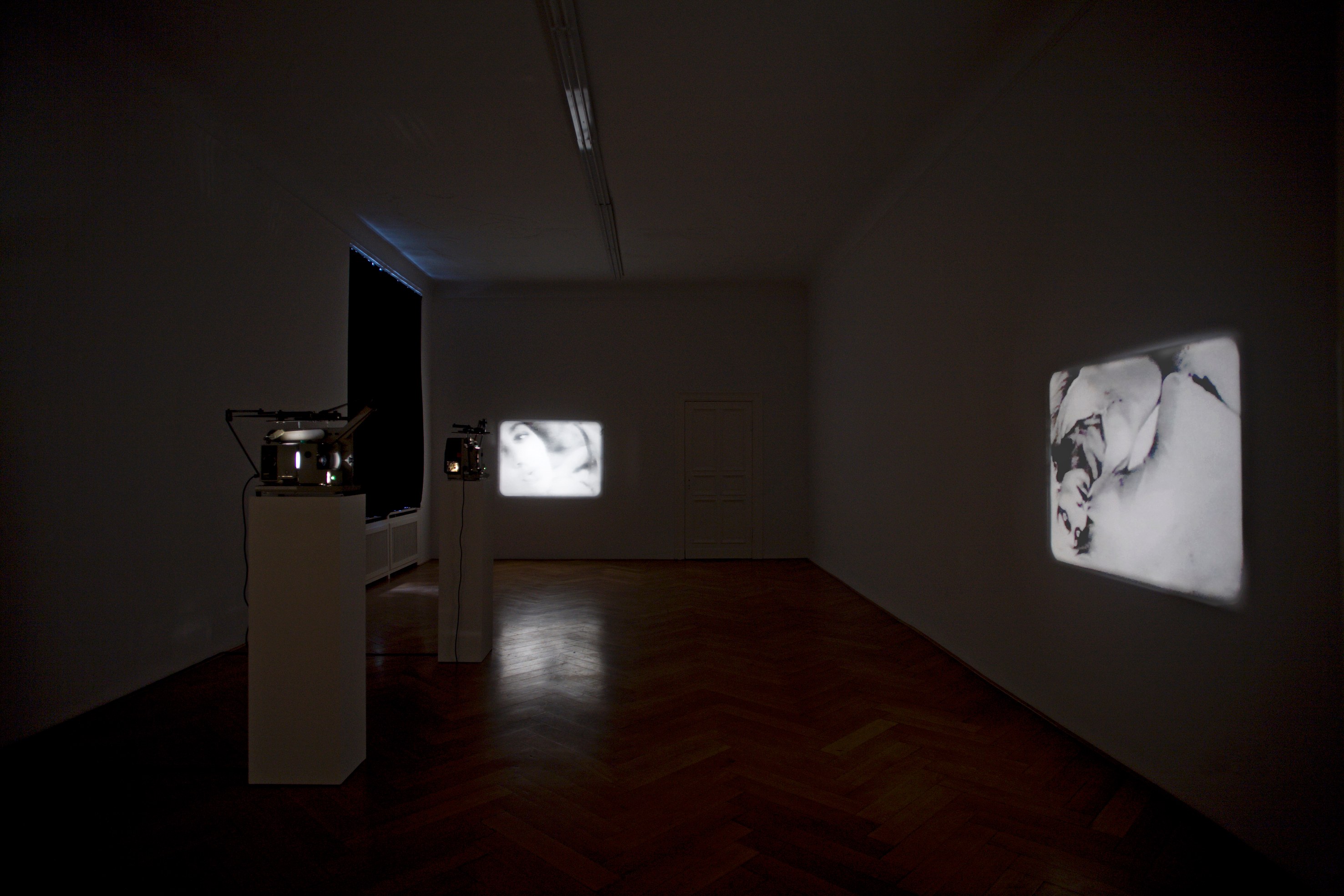 Tony Conrad, Re-Framing Creatures at Galerie Buchholz, Berlin, photo 2