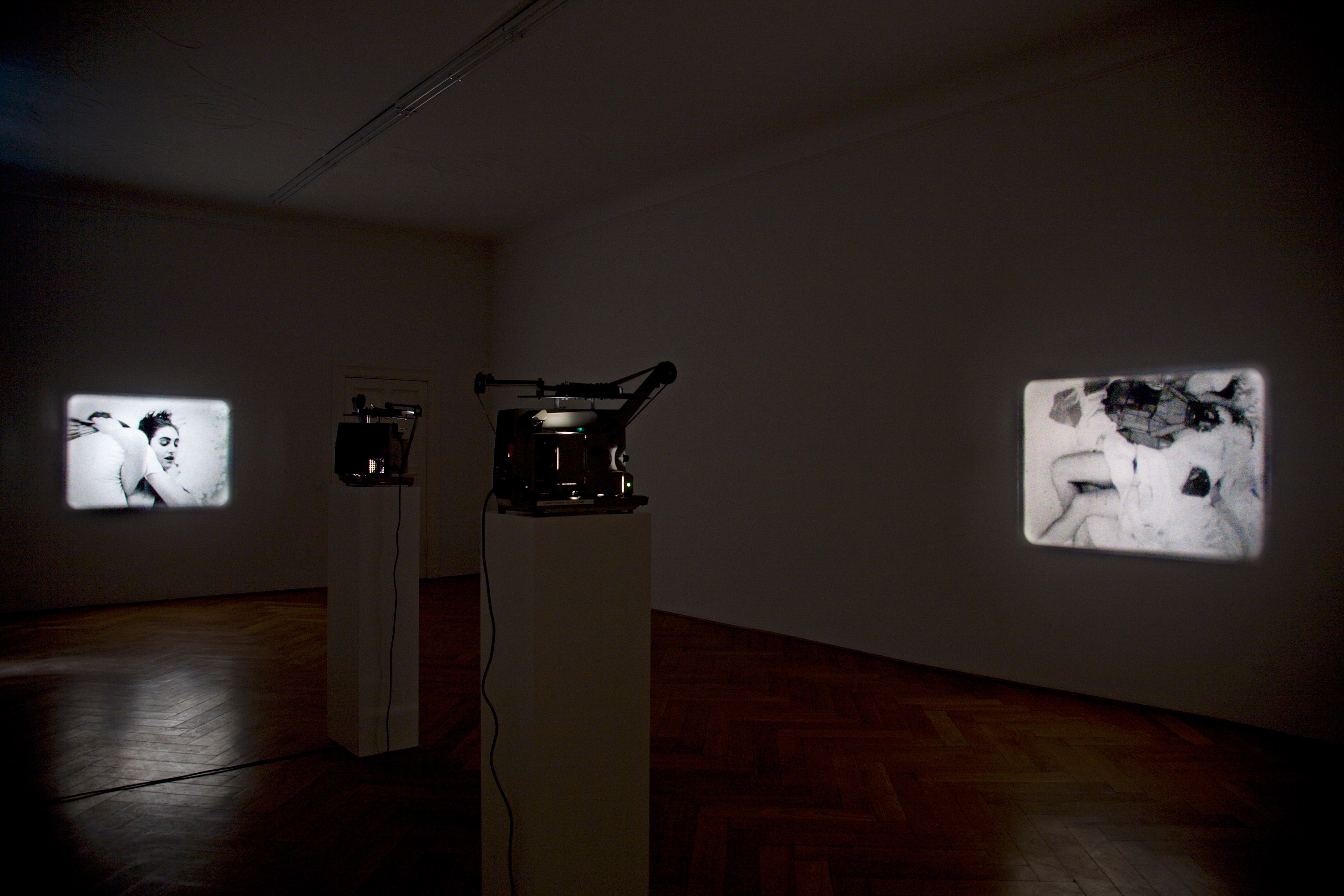 Tony Conrad, Re-Framing Creatures at Galerie Buchholz, Berlin, photo 3