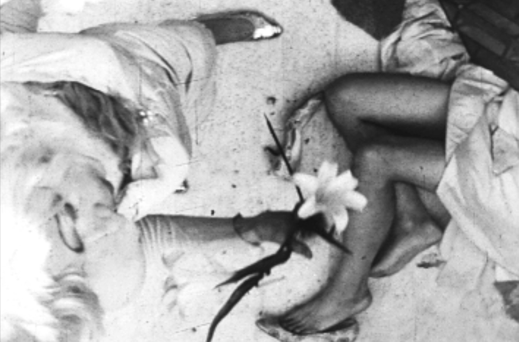 Tony Conrad, Re-Framing Creatures at Galerie Buchholz, Berlin, photo 7