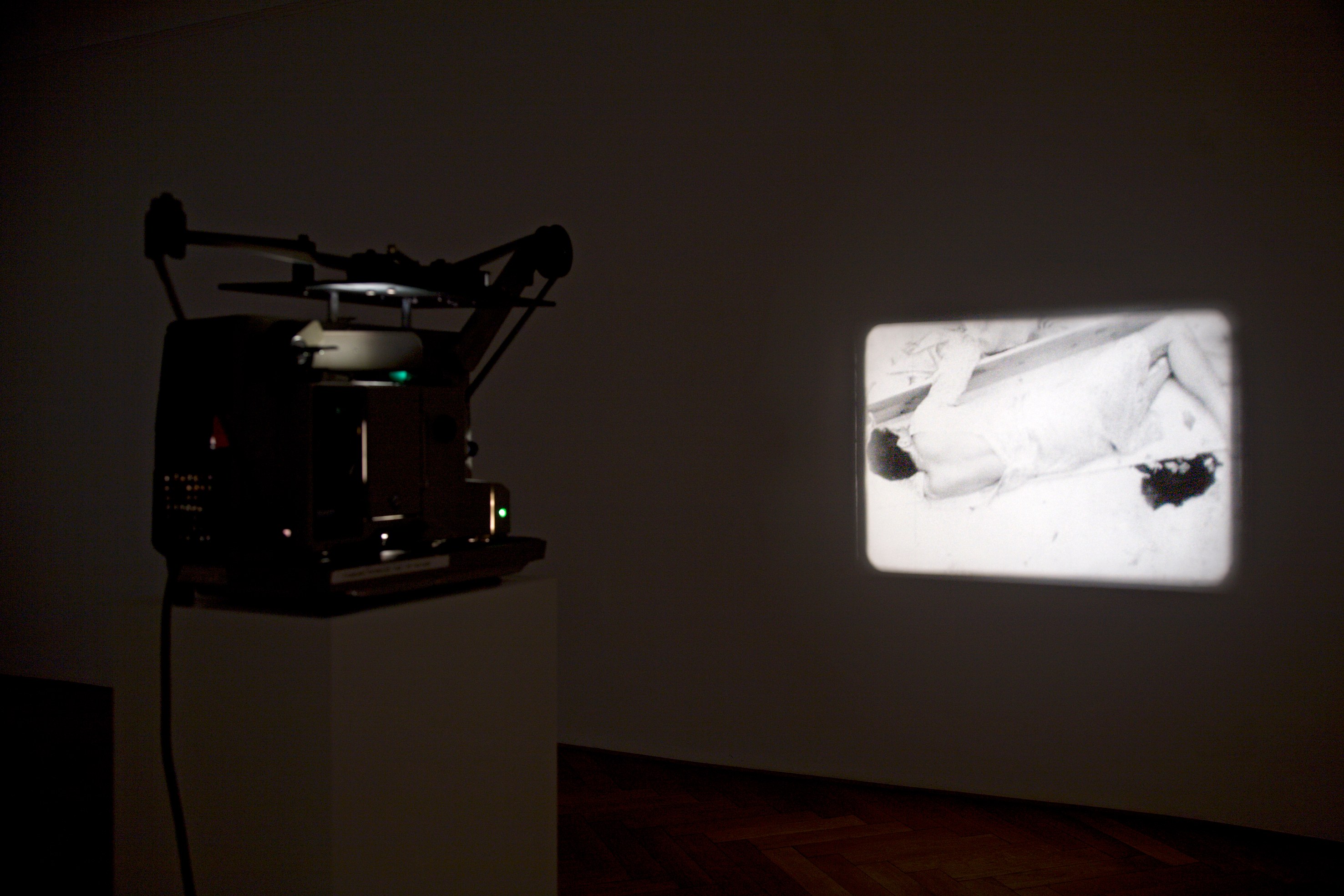 Tony Conrad, Re-Framing Creatures at Galerie Buchholz, Berlin, photo 6