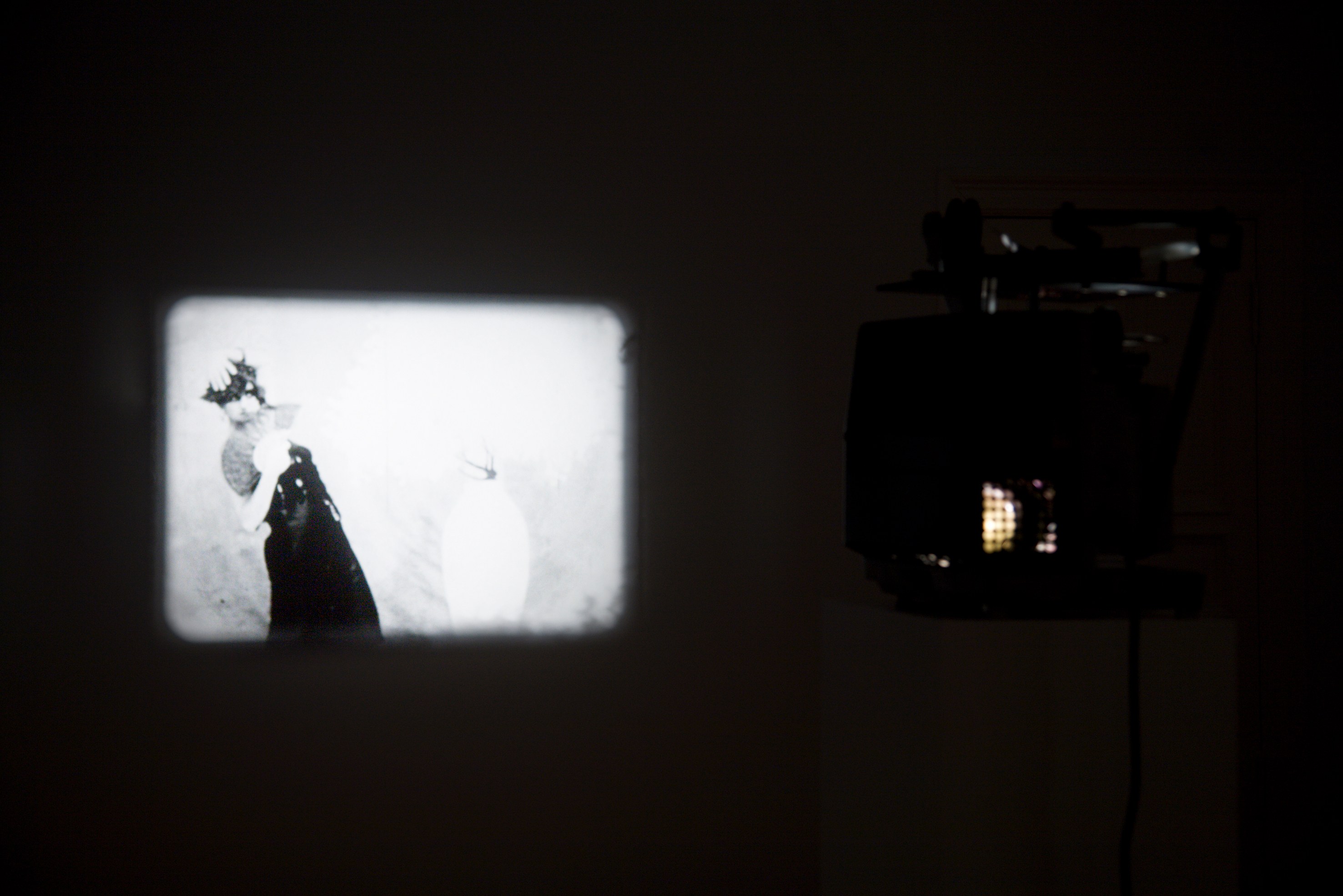 Tony Conrad, Re-Framing Creatures at Galerie Buchholz, Berlin, photo 4