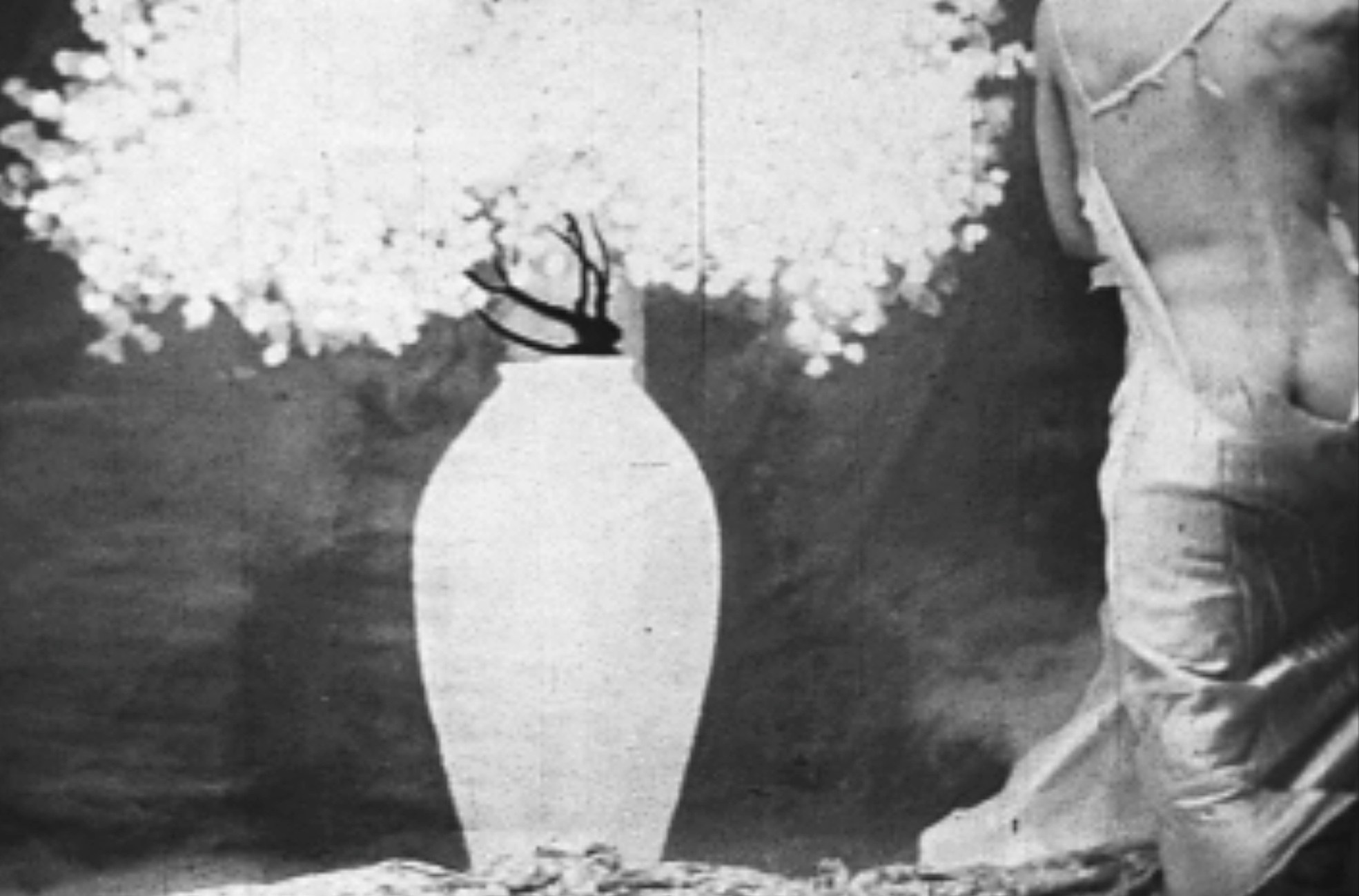 Tony Conrad, Re-Framing Creatures at Galerie Buchholz, Berlin, photo 10